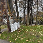 Public Trees at 261 Clinton Rd