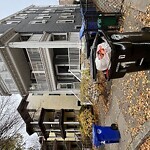 Trash/Recycling at 119 Browne St