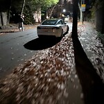 Parking Issues at 15 Oakland Rd