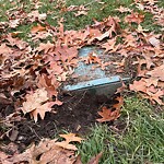 Park Playground at 1–19 Waverly St