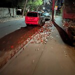 Parking Issues at 7 Oakland Rd