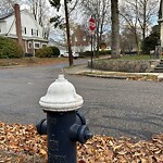 Water and Sewer at 156–198 Bonad Rd, Chestnut Hill