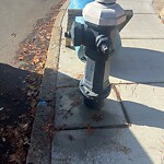 Water and Sewer at 38–48 Lawton St