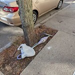 Trash/Recycling at 262 Cypress St