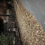 Sidewalk Obstruction at Pierce Playground, 34 Harvard Ave, Brookline 02446