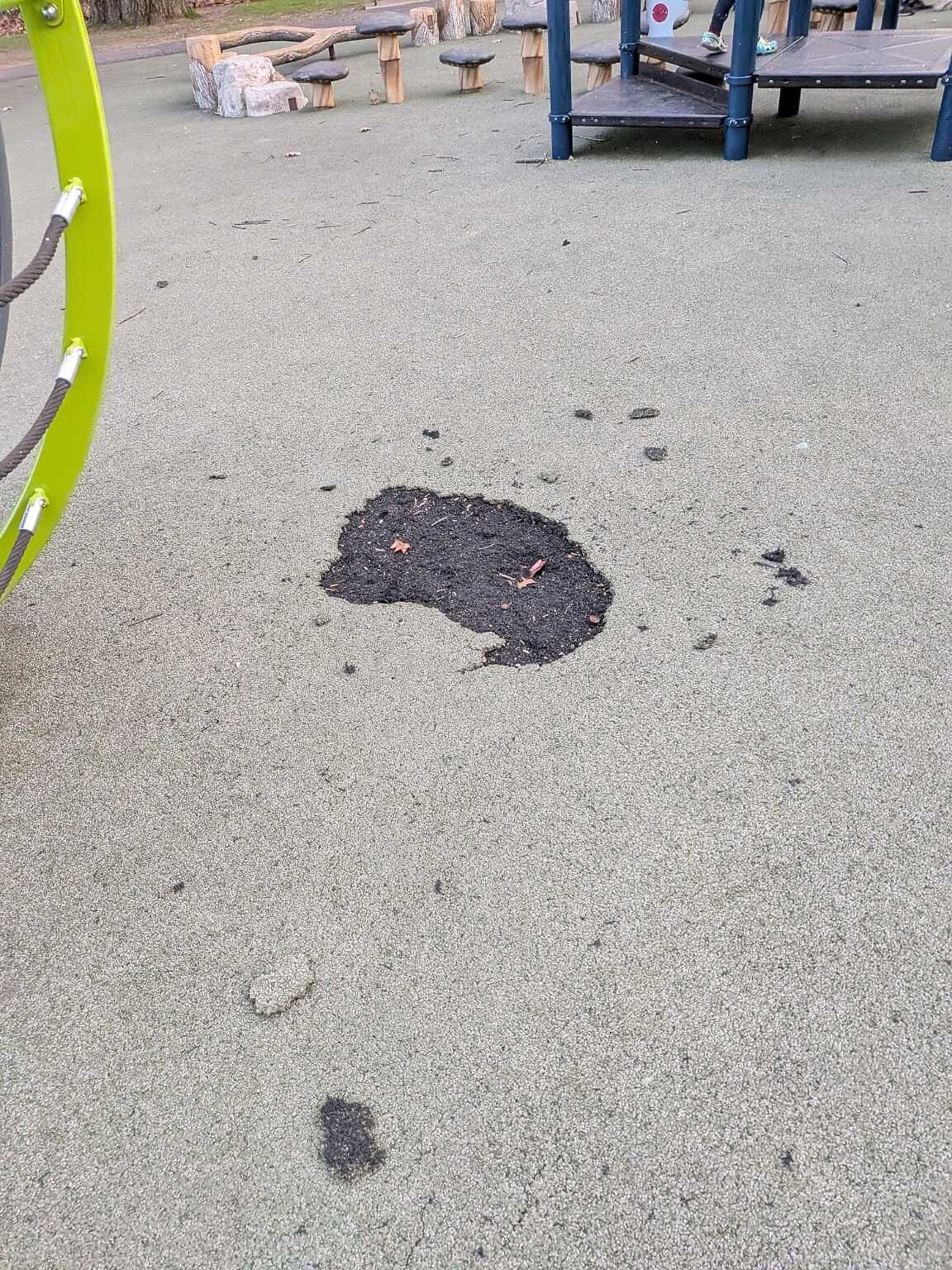 Photo_20251128_150440