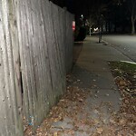 Sidewalk Obstruction at 86 Griggs Rd