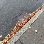 Water and Sewer at 50 Pleasant St