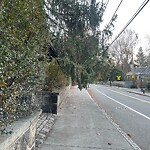 Sidewalk Obstruction at 217 Walnut St