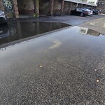 Water and Sewer at 155 Harvard St