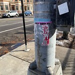 Graffiti at 396 Harvard St