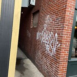 Graffiti at 43 Harvard St