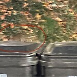 Rodent Issues at 33 Westbourne Terr, Brookline 02446