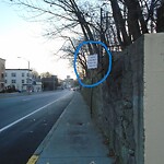 Parking Issues at Boylston St