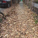 Safe Routes To School at 19 Devotion St