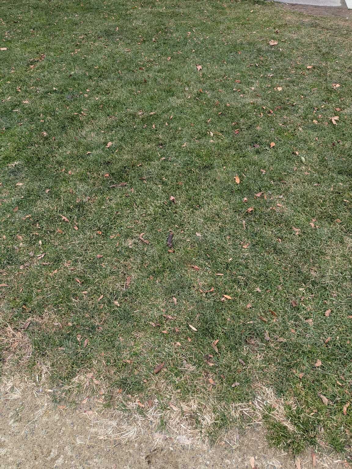 Photo_20251207_132635