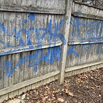 Graffiti at Rawson Path