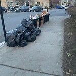 Trash/Recycling at Freeman St
