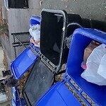 Trash/Recycling at 119 Browne St