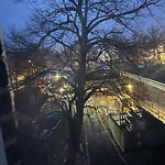 Trash/Recycling at 2–32 Pleasant St