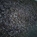 Park Playground at 1–99 Ackers Terr