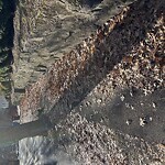 Sidewalk Obstruction at 15 Kennard Rd