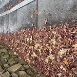 Sidewalk Obstruction at First Parish In Brookline, 382 Walnut St, Brookline 02445