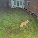 Other at 37 Hilltop Rd, Chestnut Hill