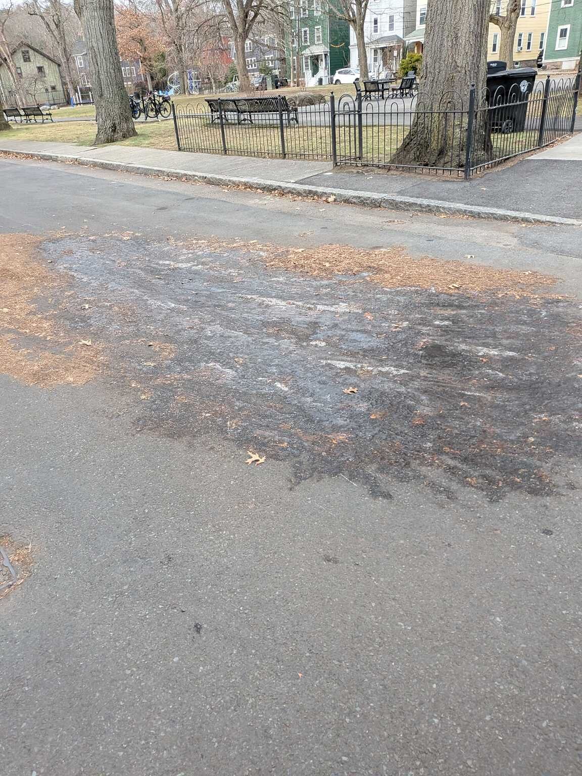 Photo_20251213_093035