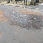 Roadway Plowing/Sanding at 10 Edwin St