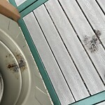 Park Playground at Waldstein Playground, 37 Dean Rd, Brookline 02445