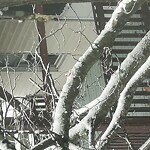 Other at 86 Chestnut St