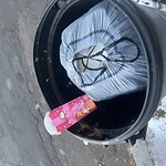 Rodent Issues at 12 Homer St