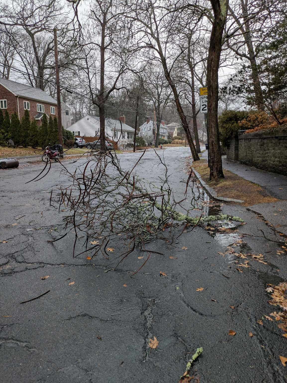 Photo_20251219_151857