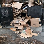 Trash/Recycling at 1386 Beacon St