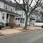 Trash/Recycling at 20 Winslow Rd