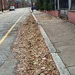 Sidewalk Obstruction at 20 Netherlands Rd