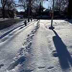Unshoveled/Icy Sidewalk at 31–39 Buckminster Rd