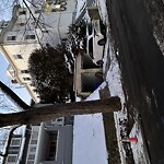 Parking Ticket at University Rd