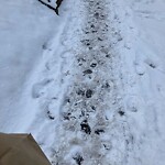 Unshoveled/Icy Sidewalk at 168 Winchester St