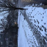 Unshoveled/Icy Sidewalk at 73 Windsor Rd
