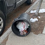 Trash/Recycling at 14 Homer St