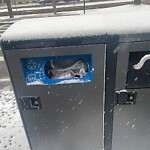 Trash/Recycling at 1418 Beacon St