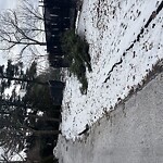 Unshoveled/Icy Sidewalk at Glenoe Rd, Chestnut Hill
