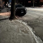 Parking Issues at 256 Cypress St