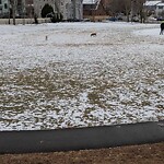 Park Playground at 290 342 Cypress St
