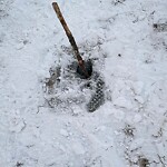 Park Playground at 43 Dean Rd