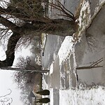 Sidewalk Repair at 37 Randolph Rd, Chestnut Hill