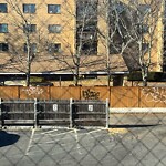 Graffiti at 41 Centre St