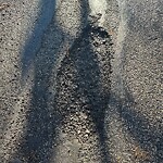 Pothole at 223 Bonad Rd, Chestnut Hill
